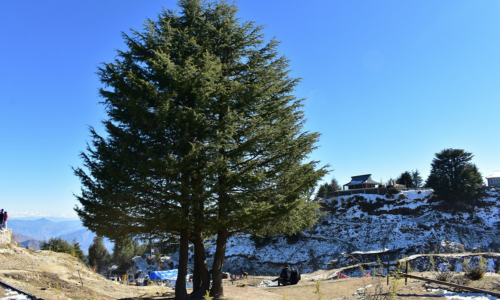 KASOL – KHEERGANGA ADVENTURE TOUR PACKAGE