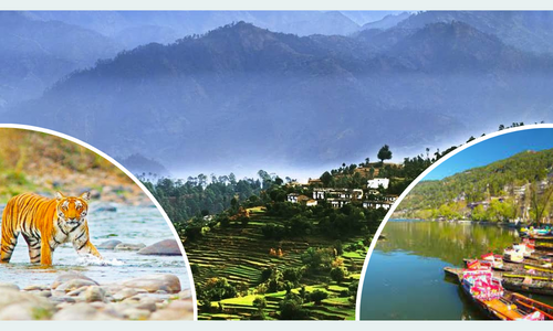 Ranikhet Nainital Jim Corbett Honeymoon Tour Package