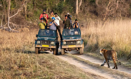 JIM CORBETT WEEKEND PACKAGE
