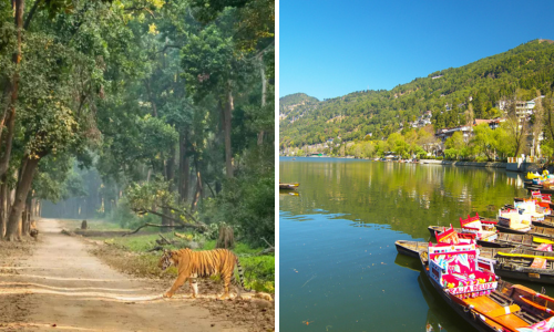 Exploring Corbett & Nainital Tour