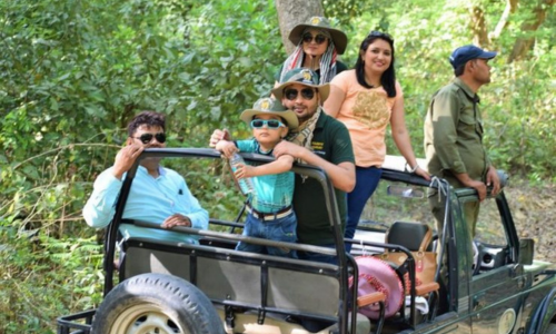 Corbett Group Tour Packages