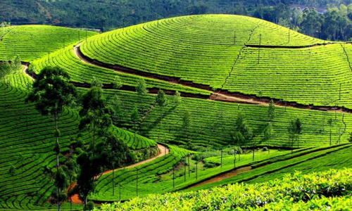Romantic Retreat in Kerala