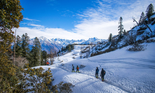 SHIMLA KUFRI ADVENTURE TOUR PACKAGE