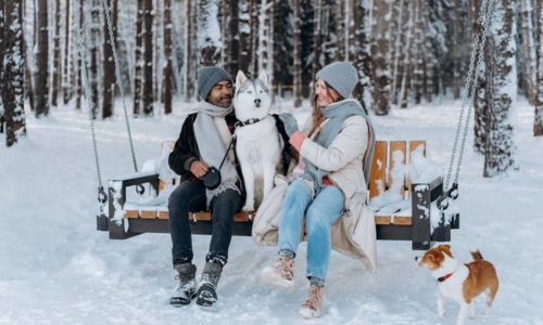 SHIMLA – KUFRI - KULLU - MANALI HONEYMOON TOUR PACKAGE